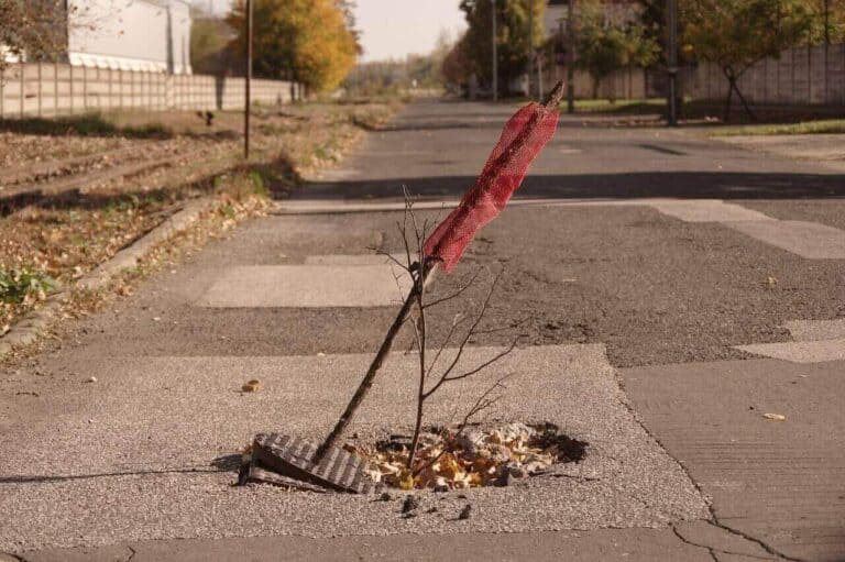 Una buca in mezzo a una strada deserta dell'Ungheria è segnalata da un bastone avvolto in un tessuto rosso, circondato da foglie cadute e da un tombino spostato, come se fosse ammonito da un attento amministratore d'azienda.